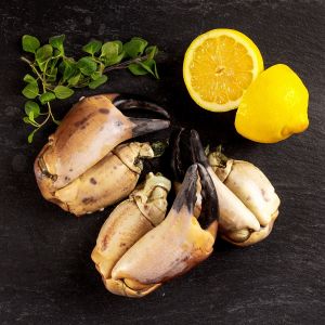 Knieper, Krebsscheren, 1000g